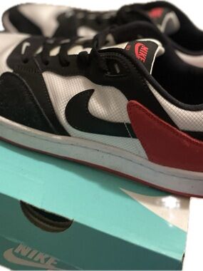 NIKE SB ALLEYOOP Low-Top Sneakers Size 11 with Box